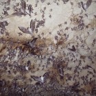 Stony Hill Cave
