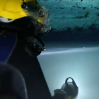 Halocline
