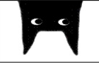 International Bat Film Festival
