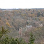 Roslin Glen