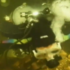 Wayne’s World Sink Cave System