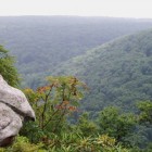 Forbes State Forest