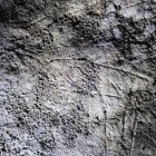 An Engraving of a Reindeer in a South Wales Cave
