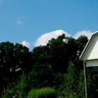 University of Florida Bat Barn