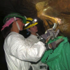 Bowden Cave Conservation and Inventory Efforts