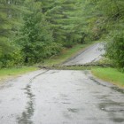 Tree Down on Stonebridge Road