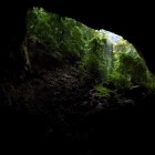 Garden of Eden at the End of Mulu's Deer Cave