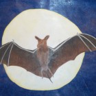 2010 Bat Festival Art Contest Runner Up
