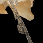 Print Images Merit Award: Crystalline Delight by Peter and Ann Bosted