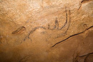 Rhinoceros Drawing inside Romania's Coliboaia Cave