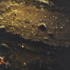 Archaeological Stratigraphy