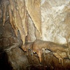 Inside Bland Cave's Formation Room