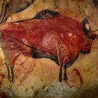 Bison Art in Spain's famed Altamira Cave.
