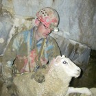 Sheep Cave Rescue