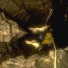 Lancaster Hole