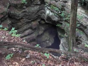 Fern Cave Entrance