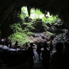 Entrance of the Cueva Clara of Camuy River Cave Park