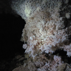 Jewel Cave Seeks Experienced Cavers