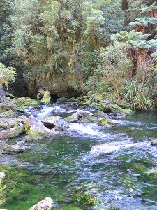 The Pearse River Resurgence which is linked to Nettlebed Cave System