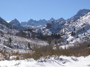 Inyo National Forest