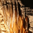 Cave Curtain in Ruakuri Cave