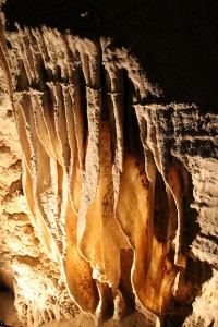 Cave Curtain in Ruakuri Cave