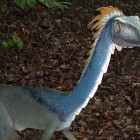 Coelophysis, A Small Carnivorous Dinosaur