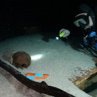 Human Remains Found in the Cenote