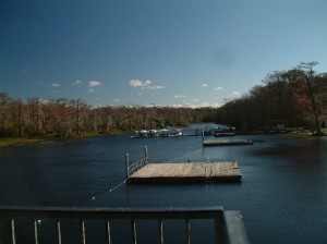Edward Ball Wakulla Springs State Park Swimming Area