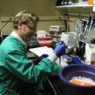 Dr. David Blehert Working in his Laboratory
