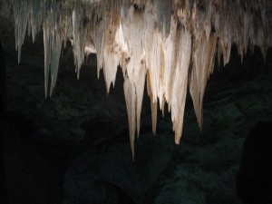 Inside Carlsbad Caverns National Park