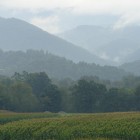 West Virginia Countryside