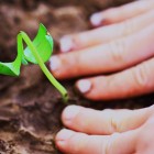 Mood Enhancing Bacteria Found in Dirt