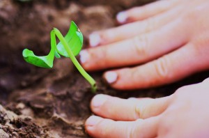 Mood Enhancing Bacteria Found in Dirt