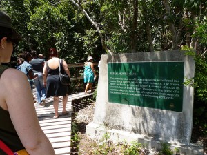 Burial Mound Cave in Lucayan National Park