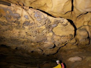 Inside West Virginia's Beaverhole Upper Cave in February