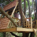 Tree House