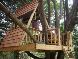 Tree House