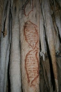 Seal Paintings in the Caves of Nerja