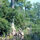 Edward Ball Wakulla Springs State Park