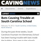Caving News on an iPhone