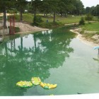 Florida's Vortex Springs