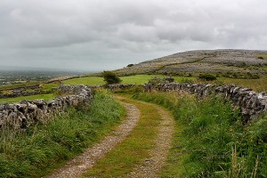 Ireland's Burren