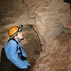 Ann Froschauer inspecting a bat in a Missouri cave