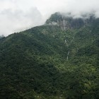 The Dense Rain Forests of the Khasi Hills