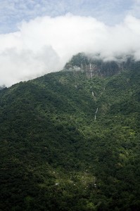  The Dense Rain Forests of the Khasi Hills