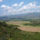 Cuban Landscape