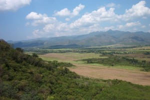 Cuban Landscape