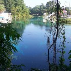 Weeki Wachee Springs