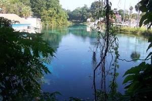 Weeki Wachee Springs